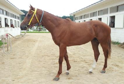 �����ǹ̼� ����