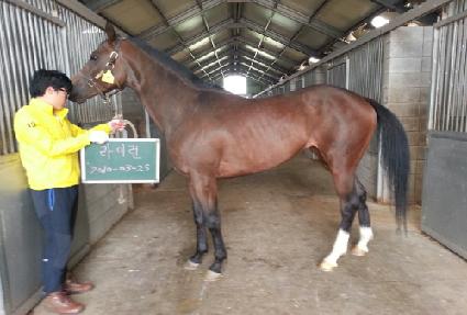 ���̷� ����