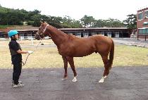 ���󺸶� (BORA BORA) ����