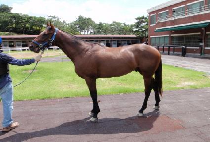 ���� ����