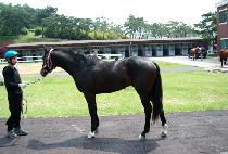 �޼�Ÿ (MESETA) ����