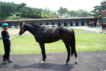 �޼�Ÿ ����