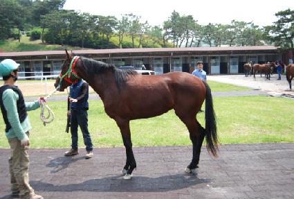 ���絵 ����