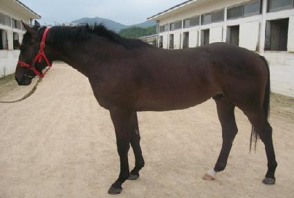 �����Ͼ���� ����