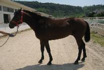 �뻧 (DAEPPANG) ����