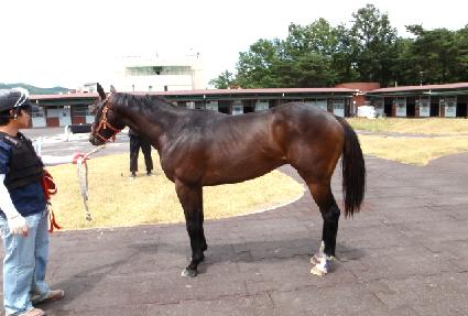 ���Ϸν�Ű ����