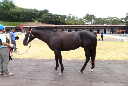 �巡��轺 ����