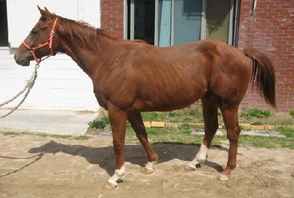 �ָ����� ����