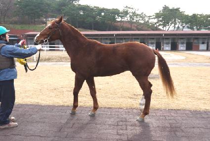 ��Ű�׸��� ����