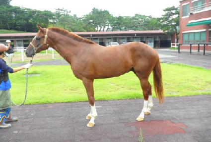 ȣũ�̻��� ����