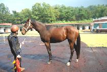 Ű���� (KISS ME) ����