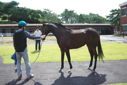 ���������ս� ����