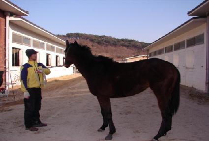 Ž��Ư�� ����