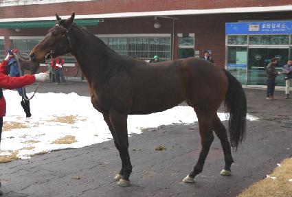 ���ǵ己 ����