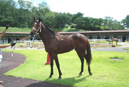 ����ε� ����