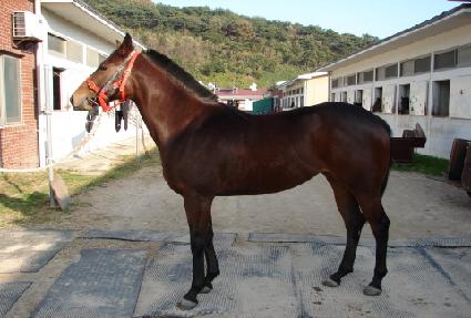 ���ȣũ ����