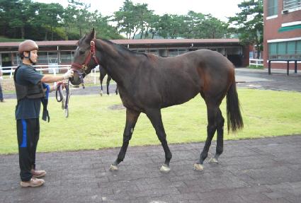 �븶�� ����