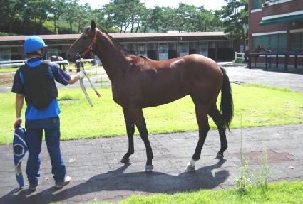 ��Ÿ�̰� ����