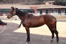 �����︲ (UNJIN ULLIM) ����