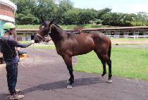 ���� (HILLTOP) ����