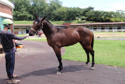 ���� ����