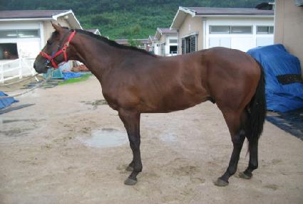 �ο����� ����