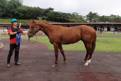 ���� ����