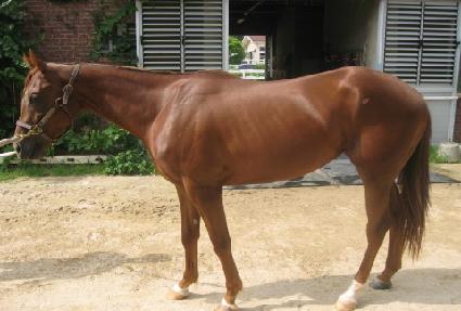 ���巡�� ����