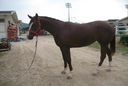 �����׸�ķ�� ����