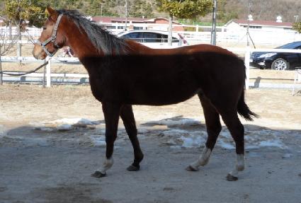 ����Ǿ߼� ����