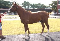 ���� (MYEONGJAK) ����