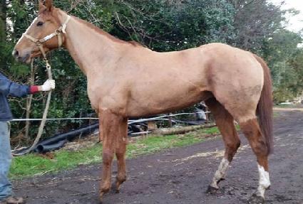 ������ ����