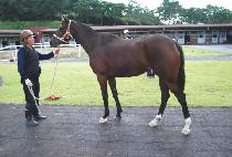 ������� (BLUEBAND ONE) ����