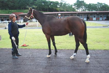 ������� ����