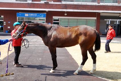 ��Ʈ�ط� ����