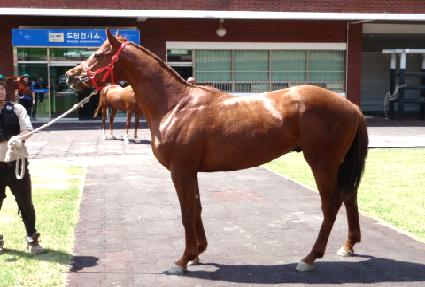 ������Ʈ ����