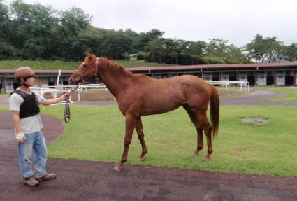 �θ��� ����