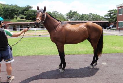 ��Ƽ�콺 ����