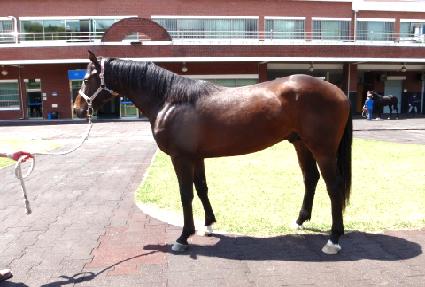 ŸŰ�� ����