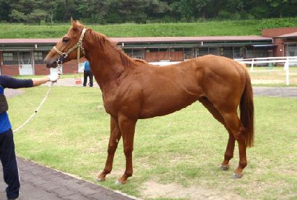 ���� ����