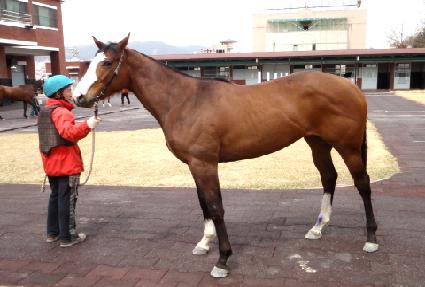 �����̸��� ����