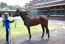 ���̵��� (MY DAY) ����