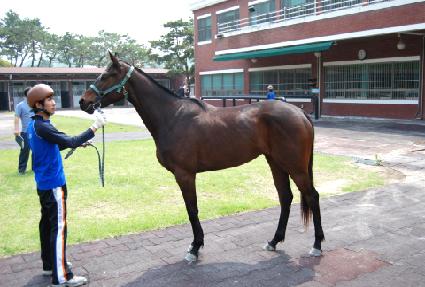 ���̵��� ����