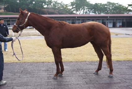 �¾ر� ����