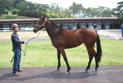 ���κ���� ����