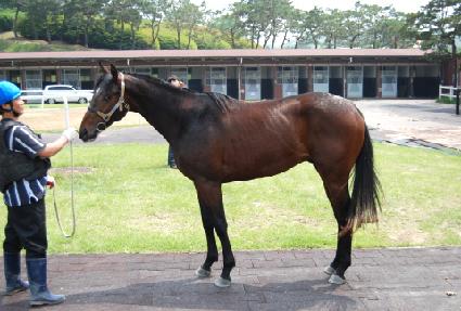 ���� ����