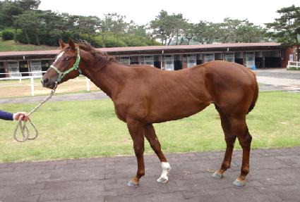 ���ֻ꼺 ����