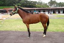 �������� (GWANAK JEONGSANG) ����