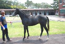 �����÷��� (SUPER PLOIT) ����