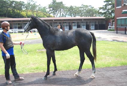 �����÷��� ����